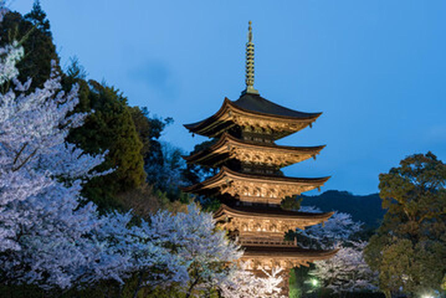 世界3位に選ばれたのに？──山口市に見る“注目”と“来訪”のギャップ